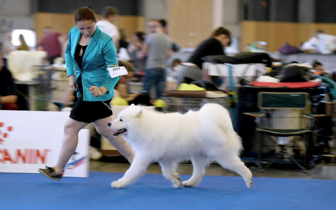 Championnat de France – Paris 2019