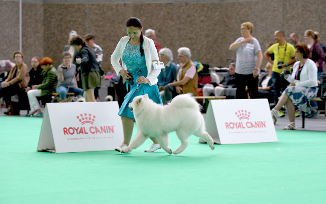 Championnat du Monde WDS 2018 – Pays-Bas