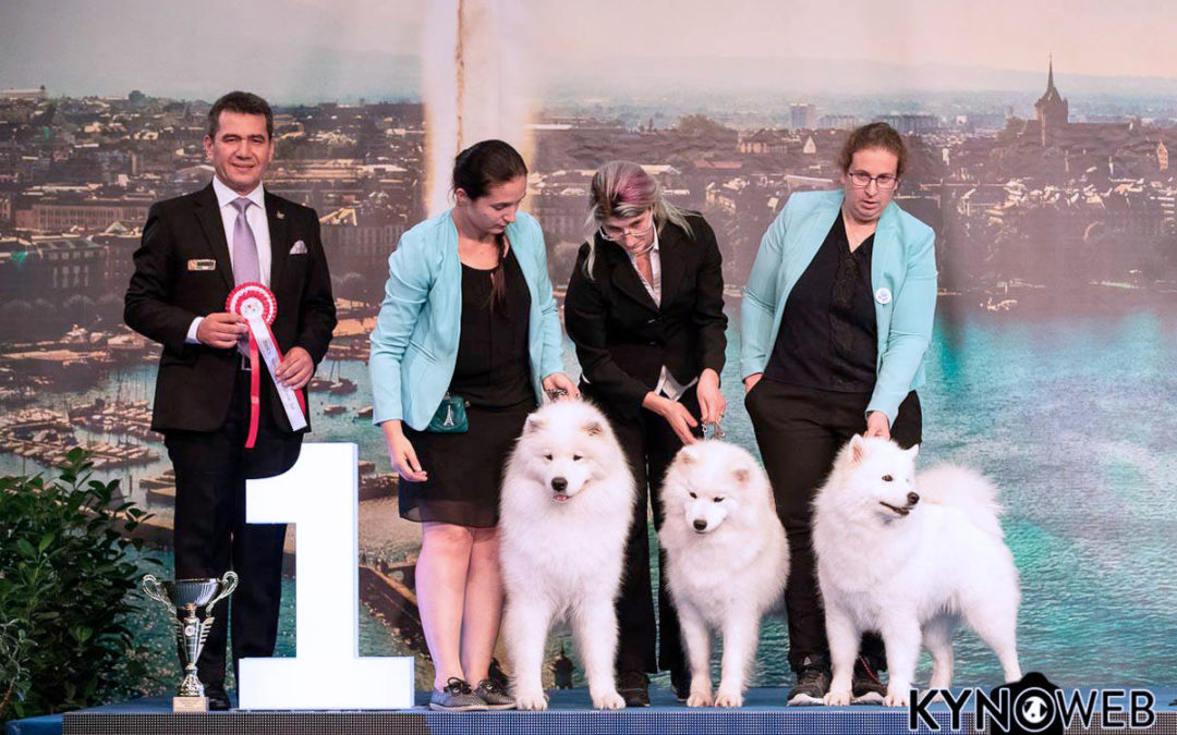 Genève Dogshows 2018 – Suisse