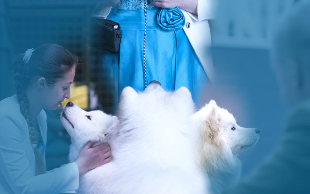 Nationale d’Élevage du Club de Race 2018 – CFCNSJ – France