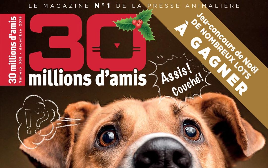 Interview 30 Millions d’Amis