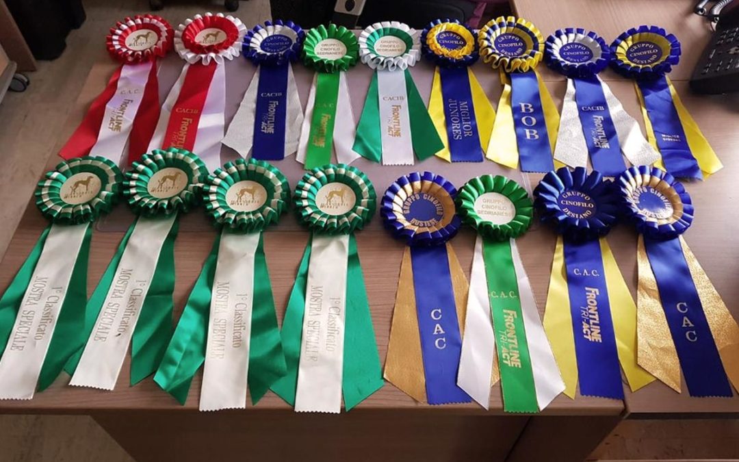 Italie Insubria Winner 2018