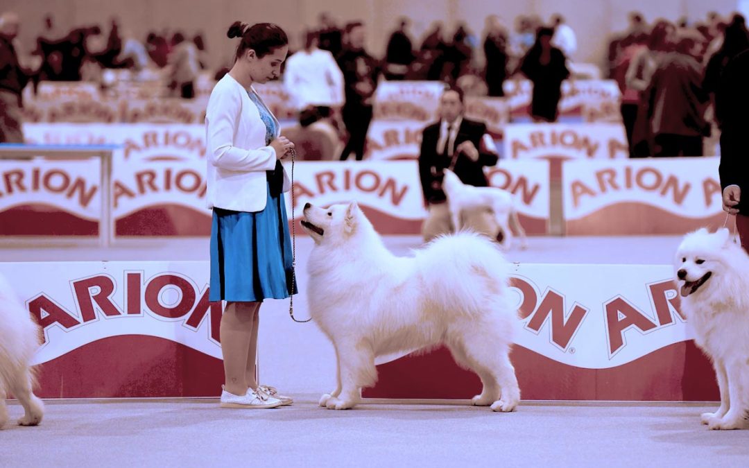 Valls – Espagne 2018