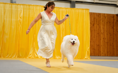 World Sled Dogs Show 2026